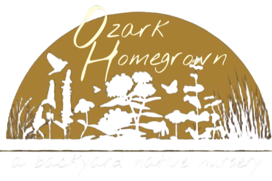 Ozark Homegrown Native Nursery